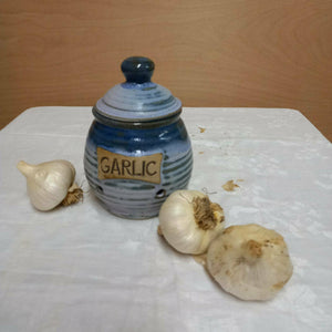 plain garlic pot