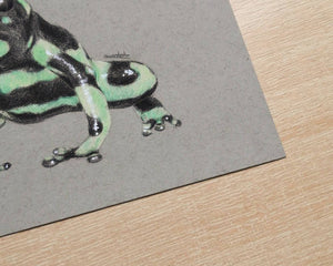 A5 Green & Black Poison Dart Frog Art Print | Graphite and Coloured Pencil Drawing on Toned Paper