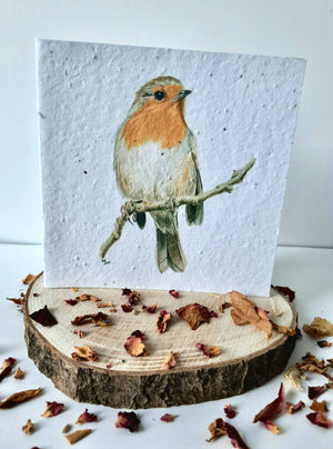 Plantable Wildflower Card - Robin