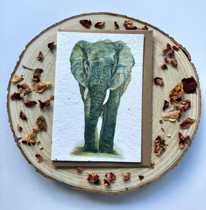 Plantable Wildflower Card - African Elephant