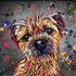 LARGE BORDER TERRIER DOG COLOUR SPLASH FRAMED ARTWORK.