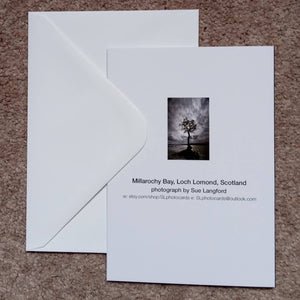 Loch Lomond oak tree - card