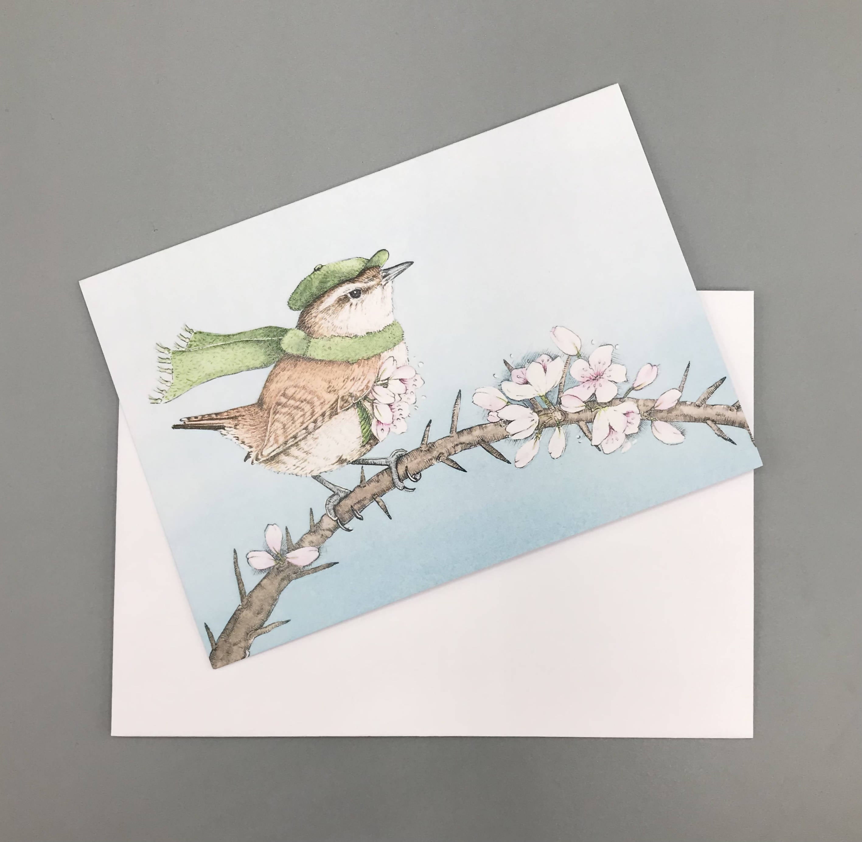 Jenny Wren Draws greetings Cards