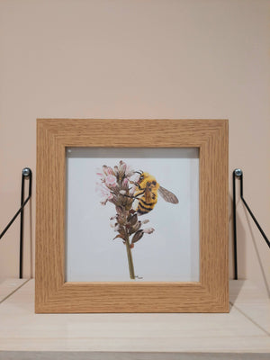 Framed fine art Giclée print: ‘Bee Delicate’