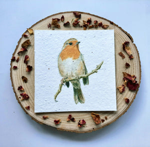 Plantable Wildflower Card - Robin