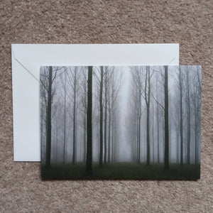 Misty trees - card