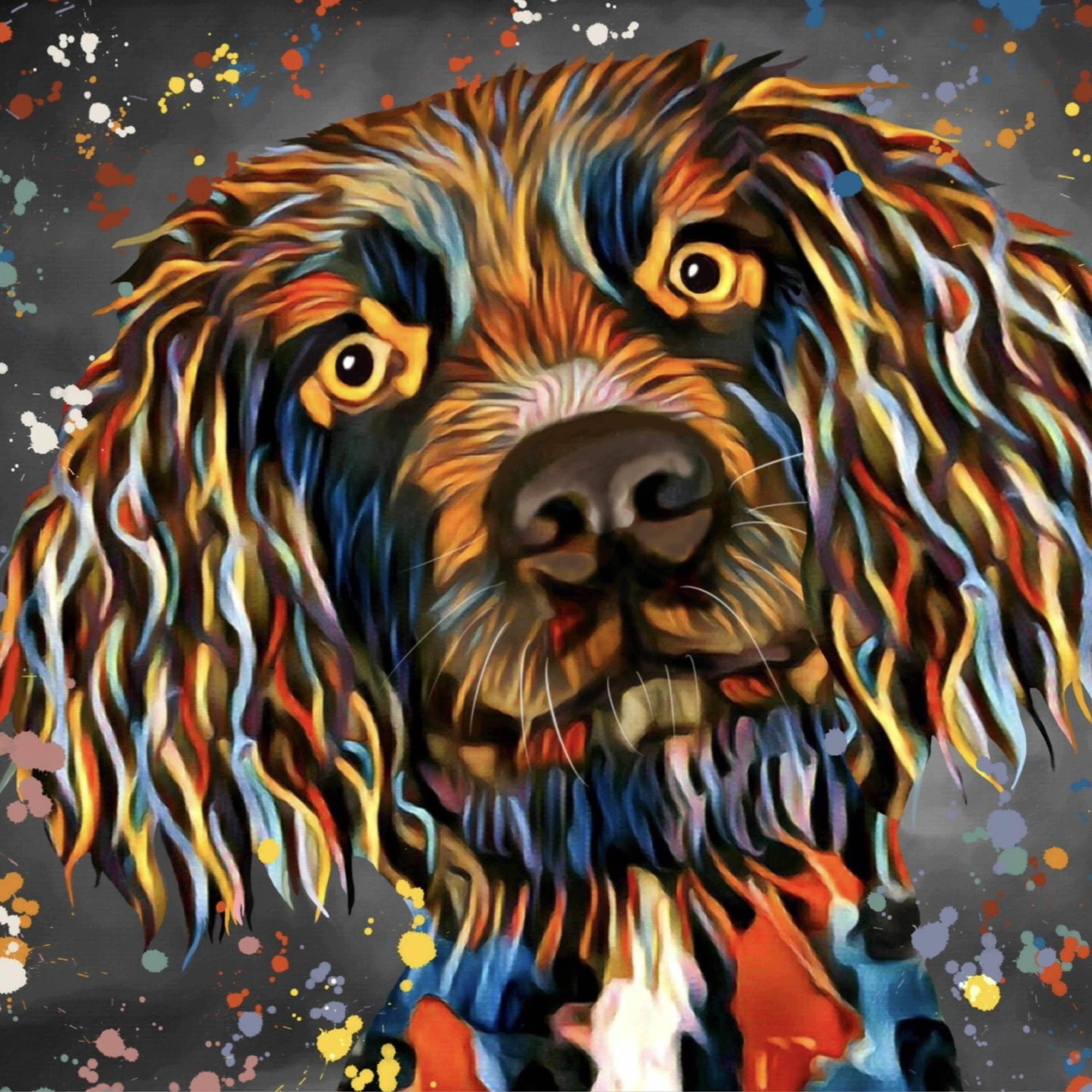 SPANIEL DOG COLOUR SPLASH FRAMED ARTWORK.