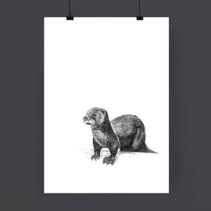 A4 Animal Illustration Print