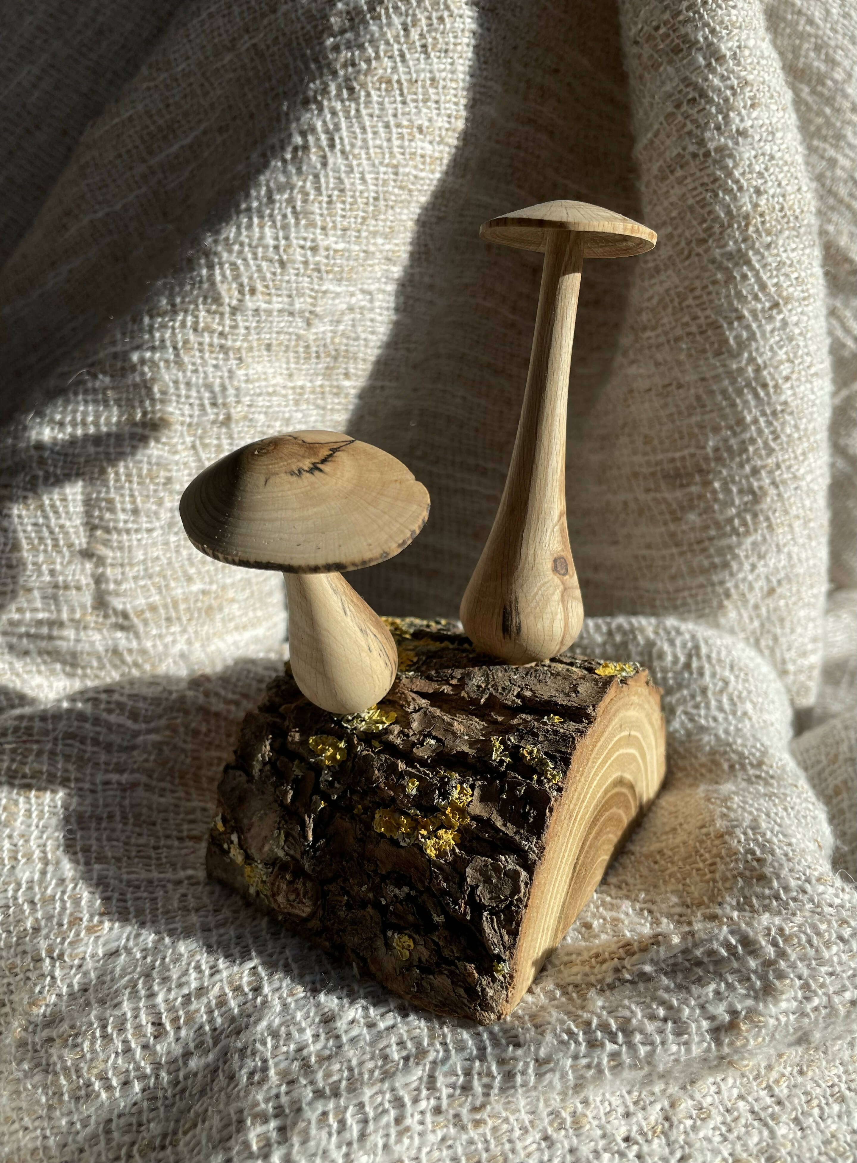 Woodland Mushroom Pair