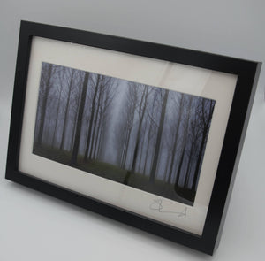 Misty Trees (A4 frame)