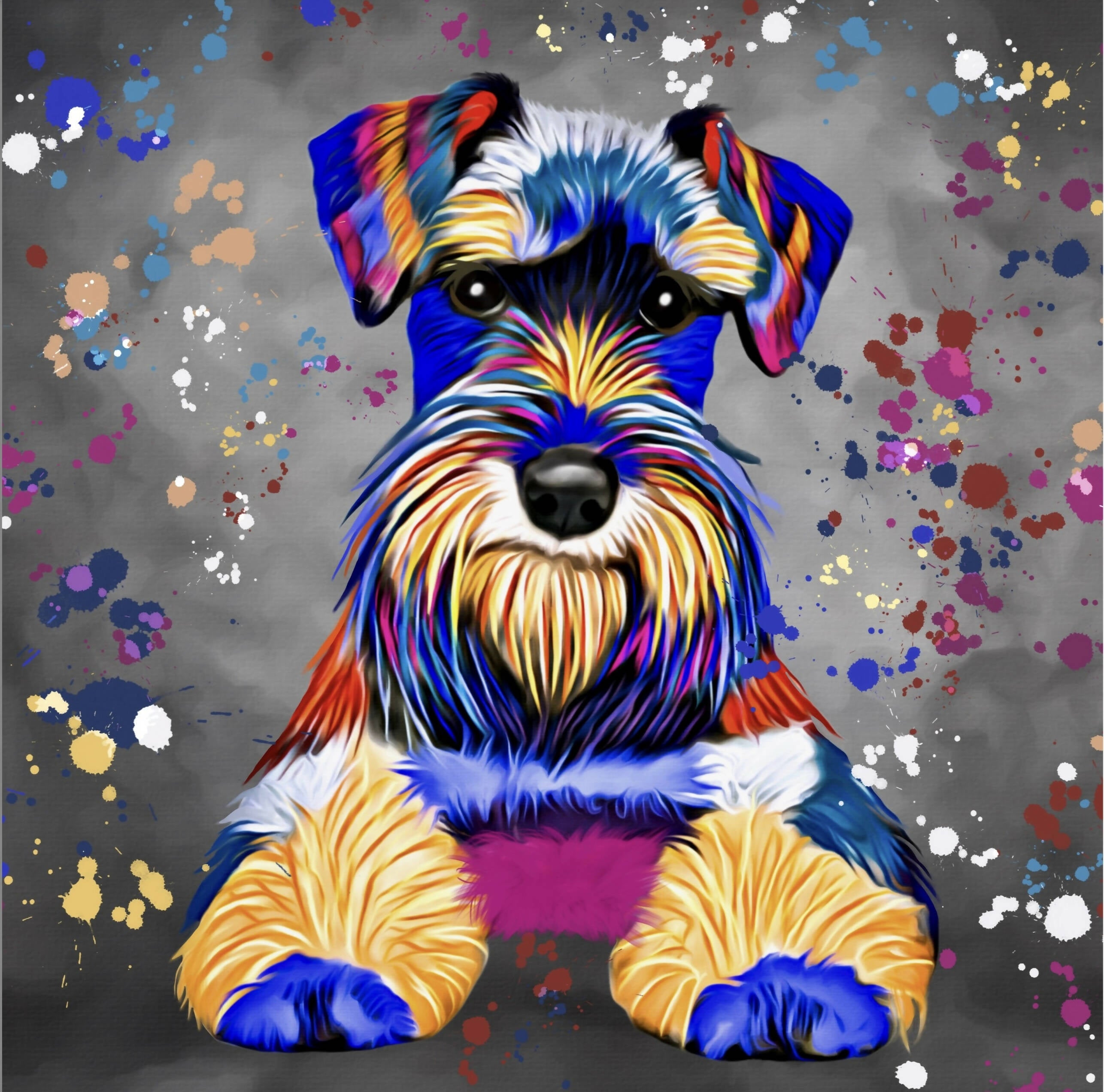 SCHNAUZER DOG COLOUR SPLASH FRAMED ARTWORK.