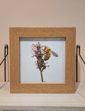 Framed fine art Giclée print: ‘Bee Delicate’