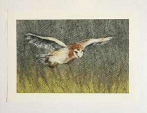 Barn owl Giclee print
