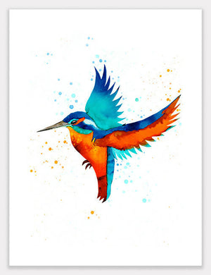 Kingfisher (Fisher) Print
