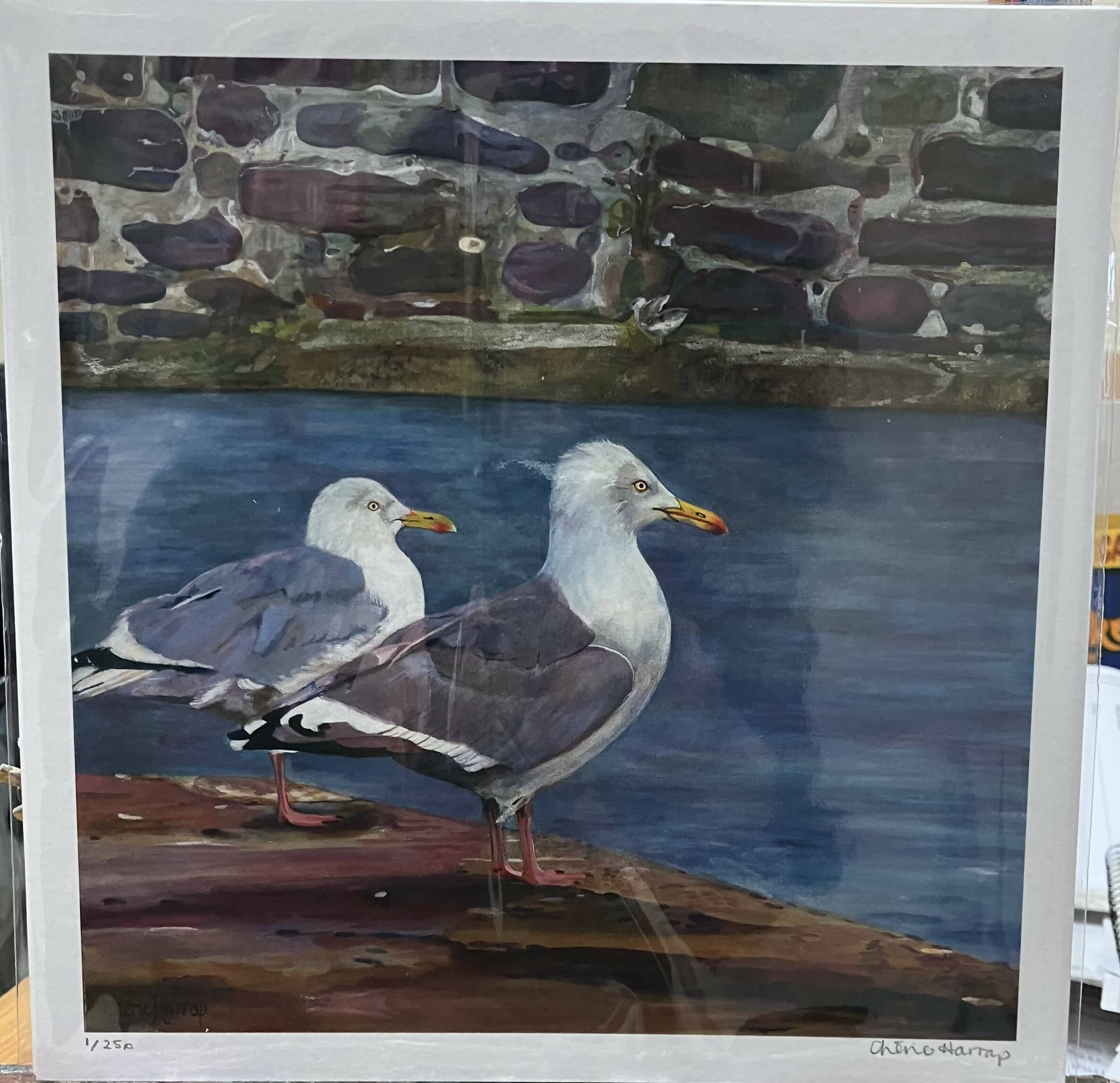 Seagulls - 10 x 10