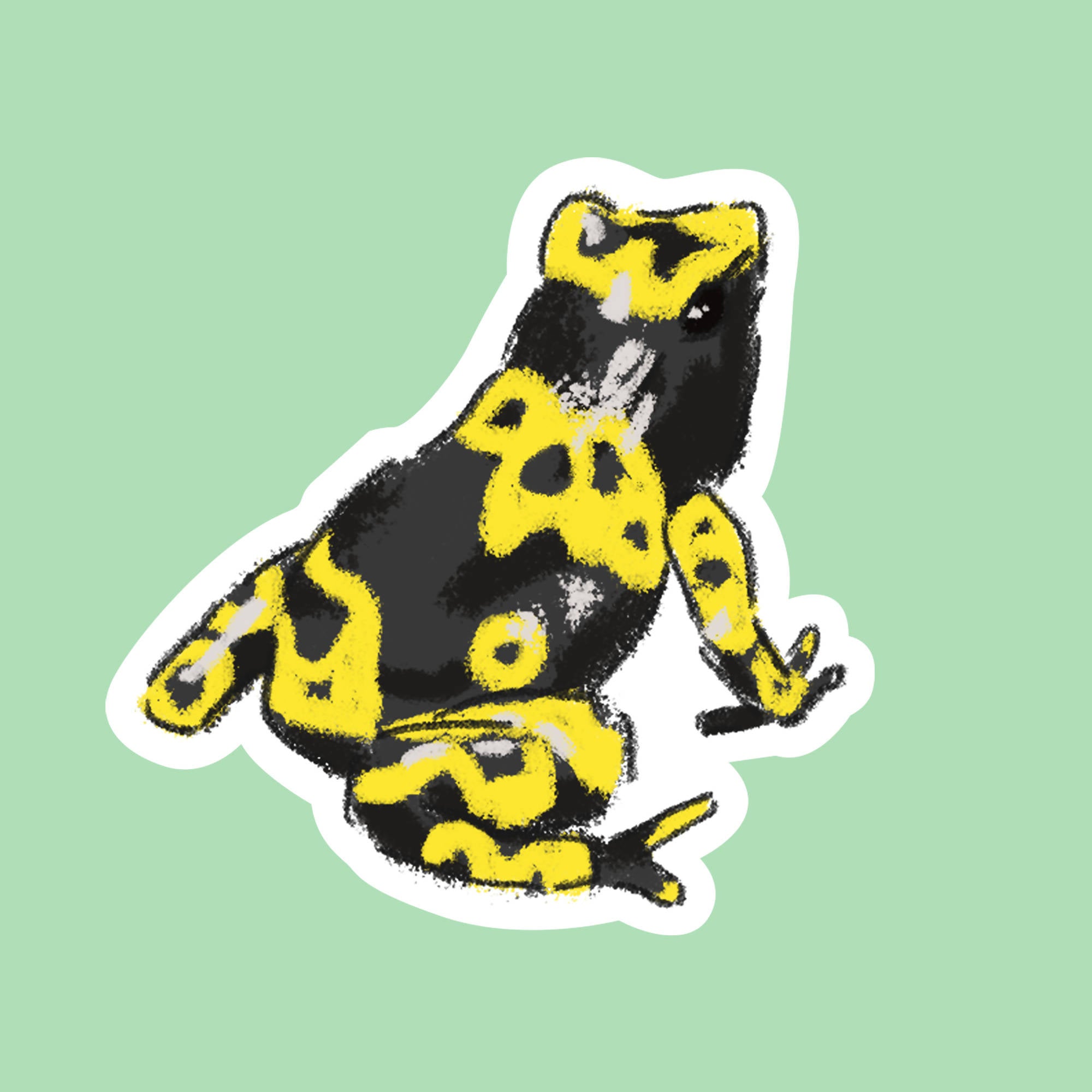 3 Poison Dart Frog Stickers (7x7cm) | Green, Yellow, Orange | Digital Drawings