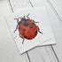 Animal Ink Greetings Card