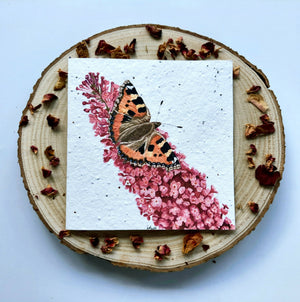 Plantable Wildflower Card - Butterfly Design