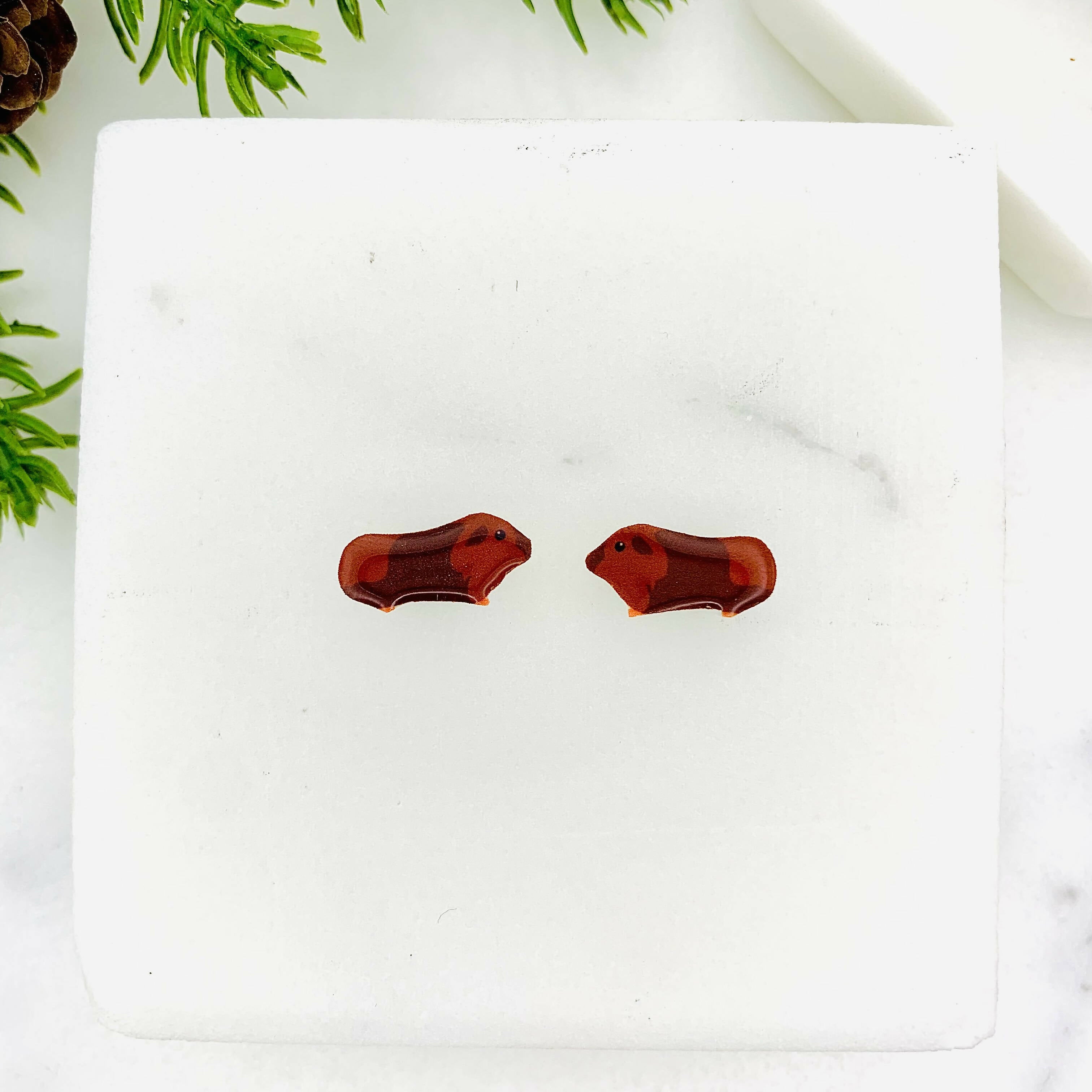 Brown Guinea Pig Stud Earrings