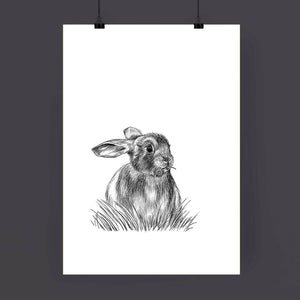 A4 Animal Illustration Print