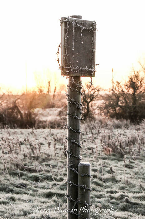 Barbed Wire - A4 mounted