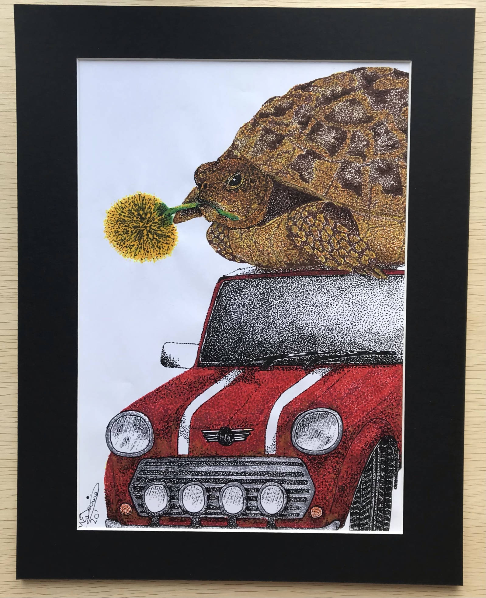 The Tortoise and the Mini