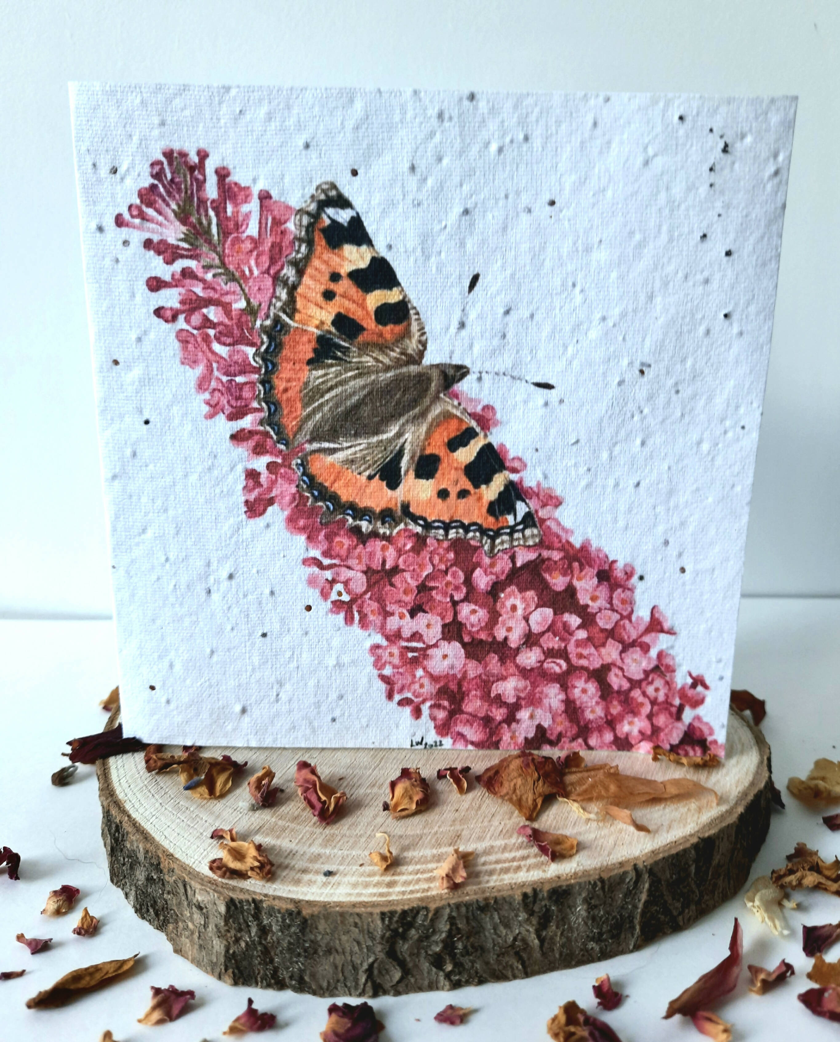 Plantable Wildflower Card - Butterfly Design