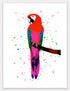 Parrot (Ara) Print