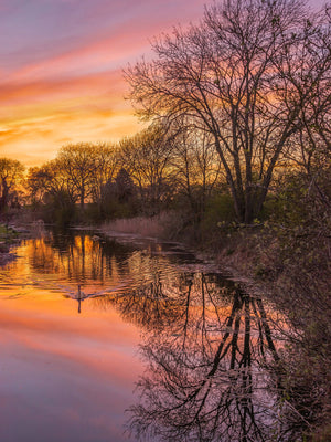Leven Canal Sunset Photograph