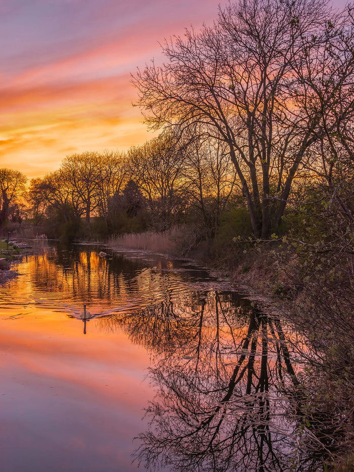 Leven Canal Sunset Photograph
