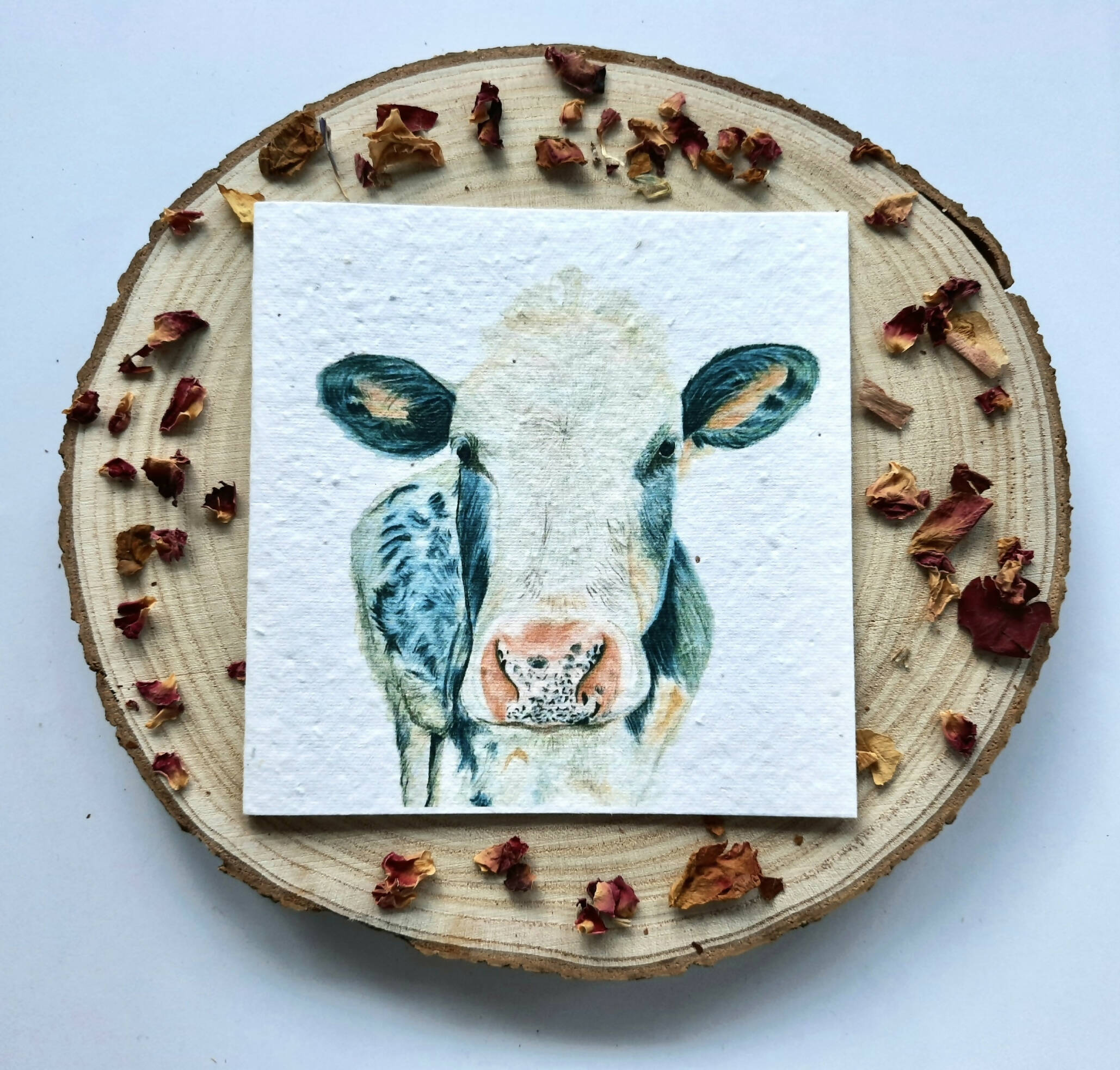 Plantable Wildflower Card - Curious Cow