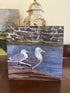 Seagulls Greetings Card