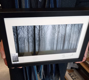 Misty Trees (A4 frame)