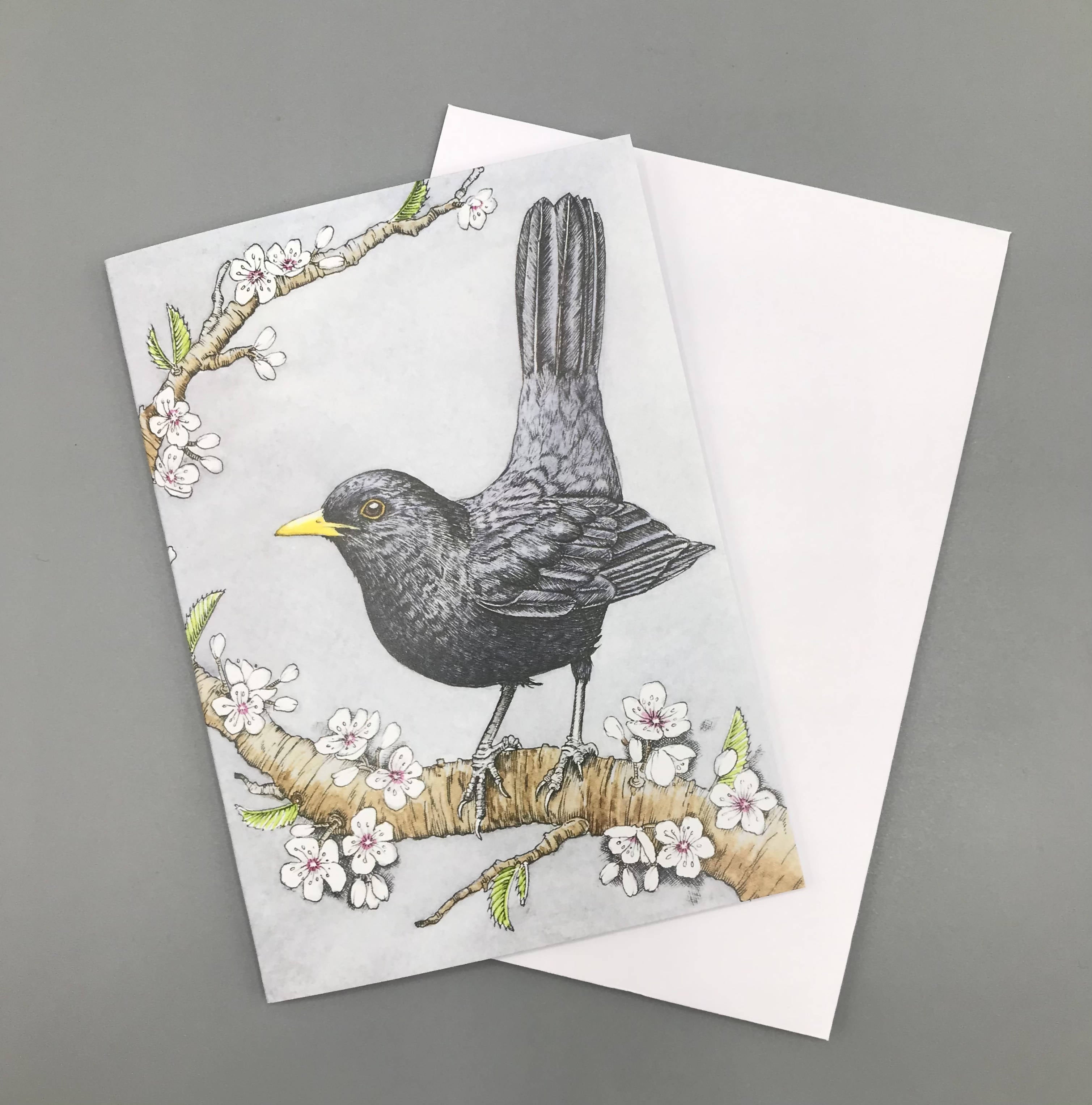 Jenny Wren Draws greetings Cards