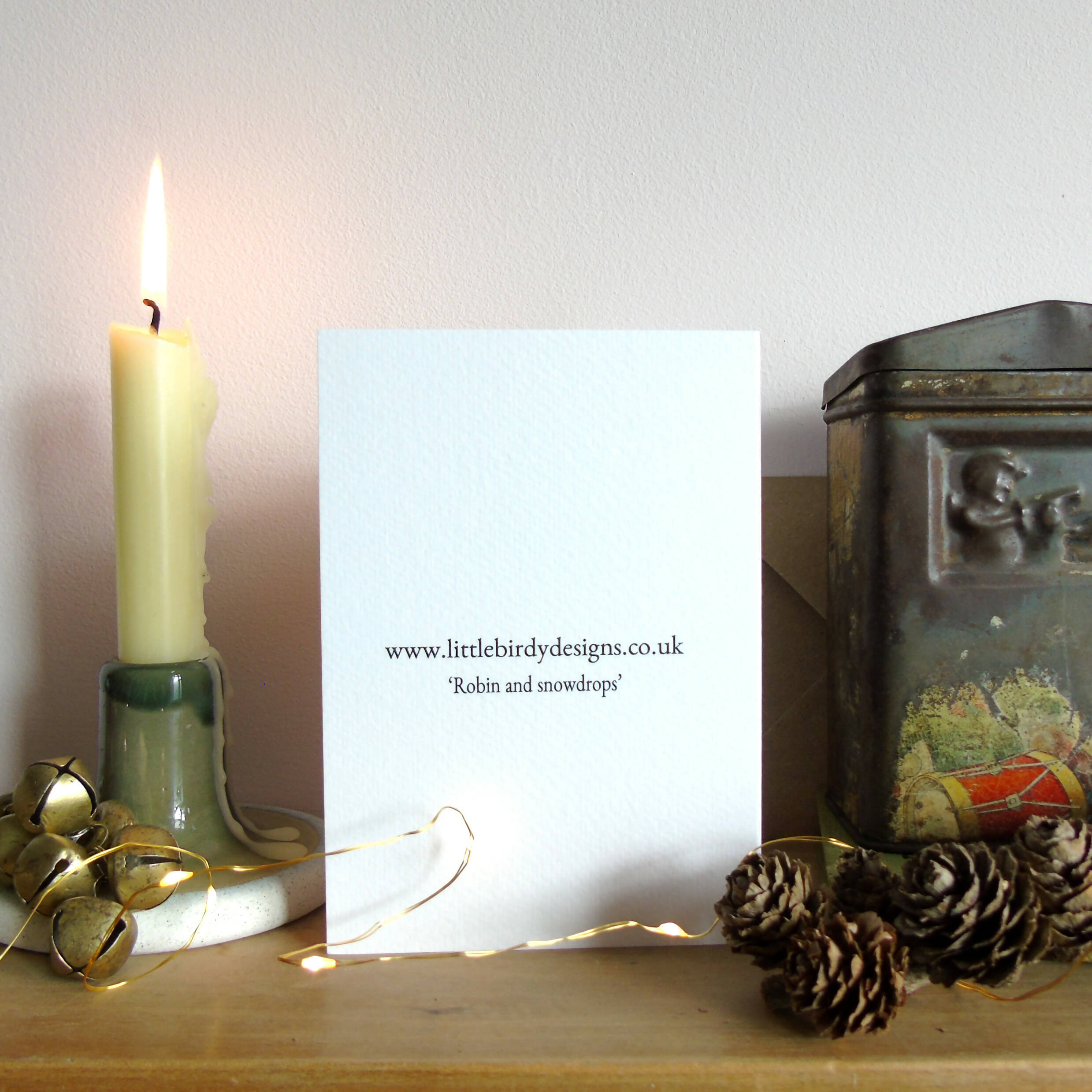 Robin and Snowdrop Christmas Card