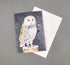 Jenny Wren Draws greetings Cards