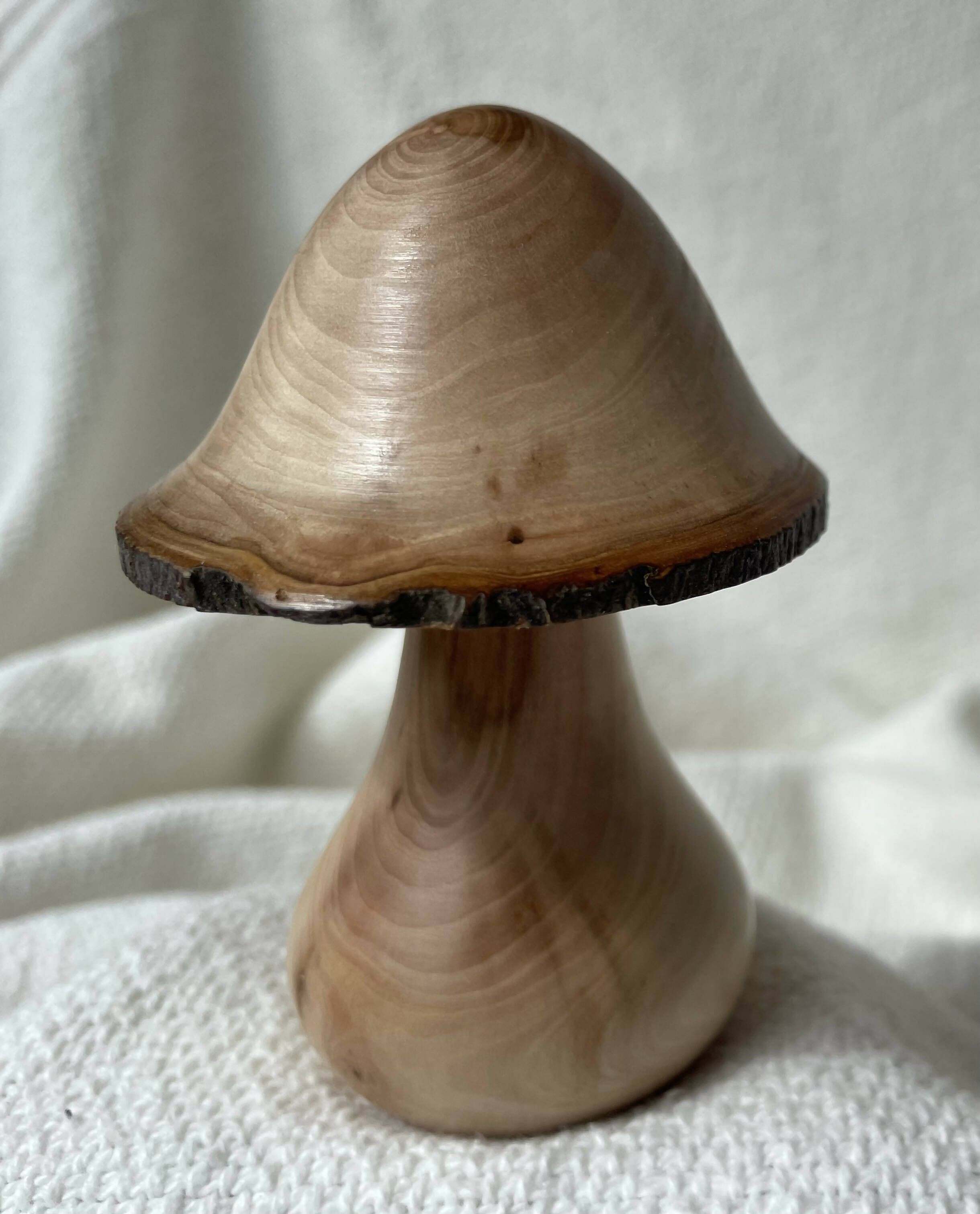 Hand Turned Wooden Mushrooms