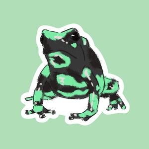 3 Poison Dart Frog Stickers (7x7cm) | Green, Yellow, Orange | Digital Drawings