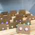 Pastel Collection; Dot Stud Polymer clay earrings: Medium