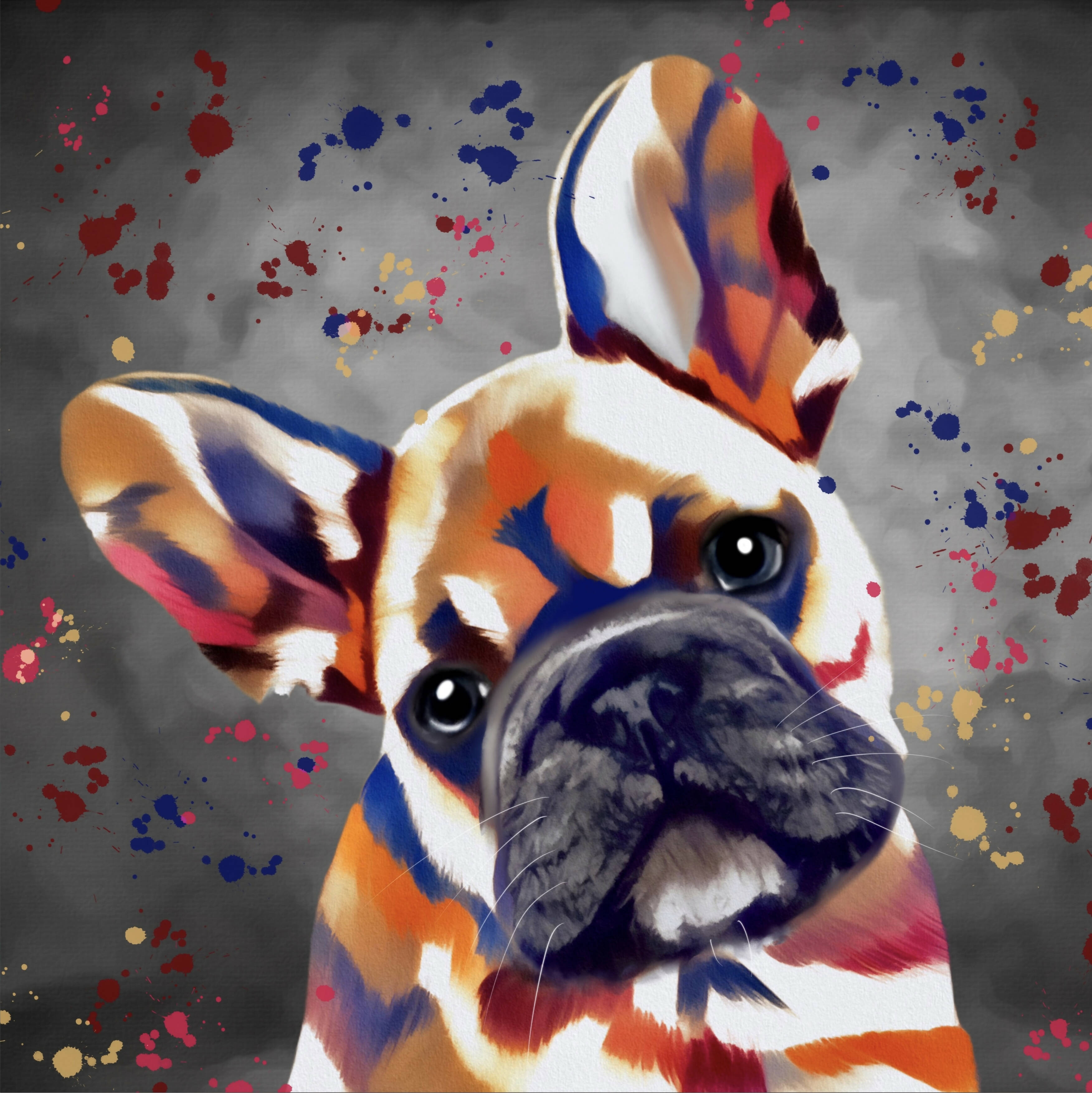 FRENCH BULLDOG COLOUR SPLASH FRAMED ARTWORK.