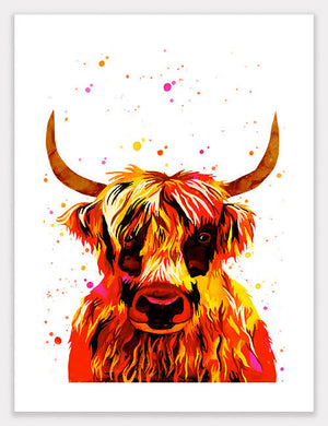 Cow (Kyloe) Print