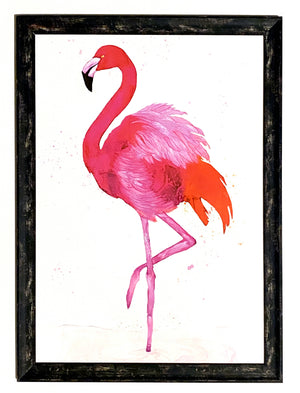 Framed Animal Ink Fine Art Giclee Prints 594mm x 420mm