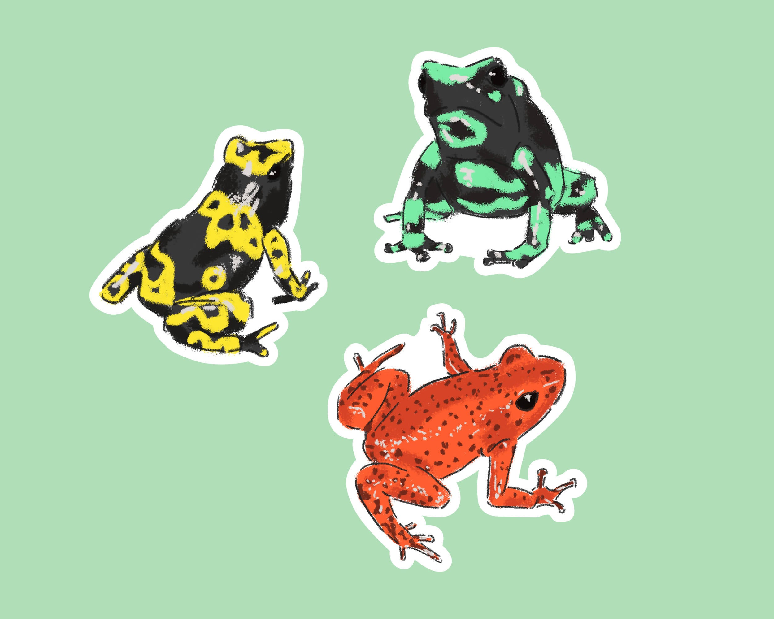 3 Poison Dart Frog Stickers (7x7cm) | Green, Yellow, Orange | Digital Drawings