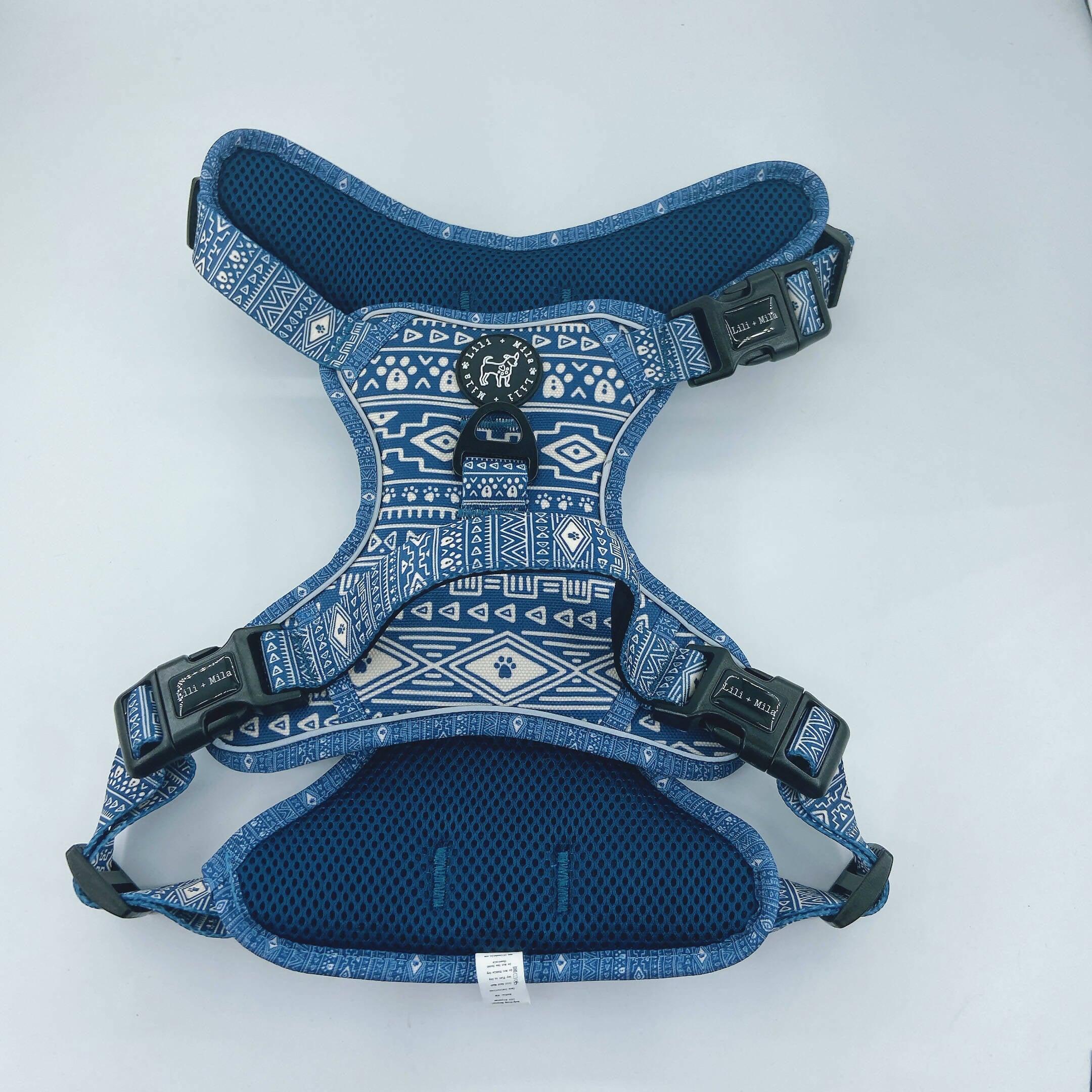 Aztec (Blue) Discovery Harness