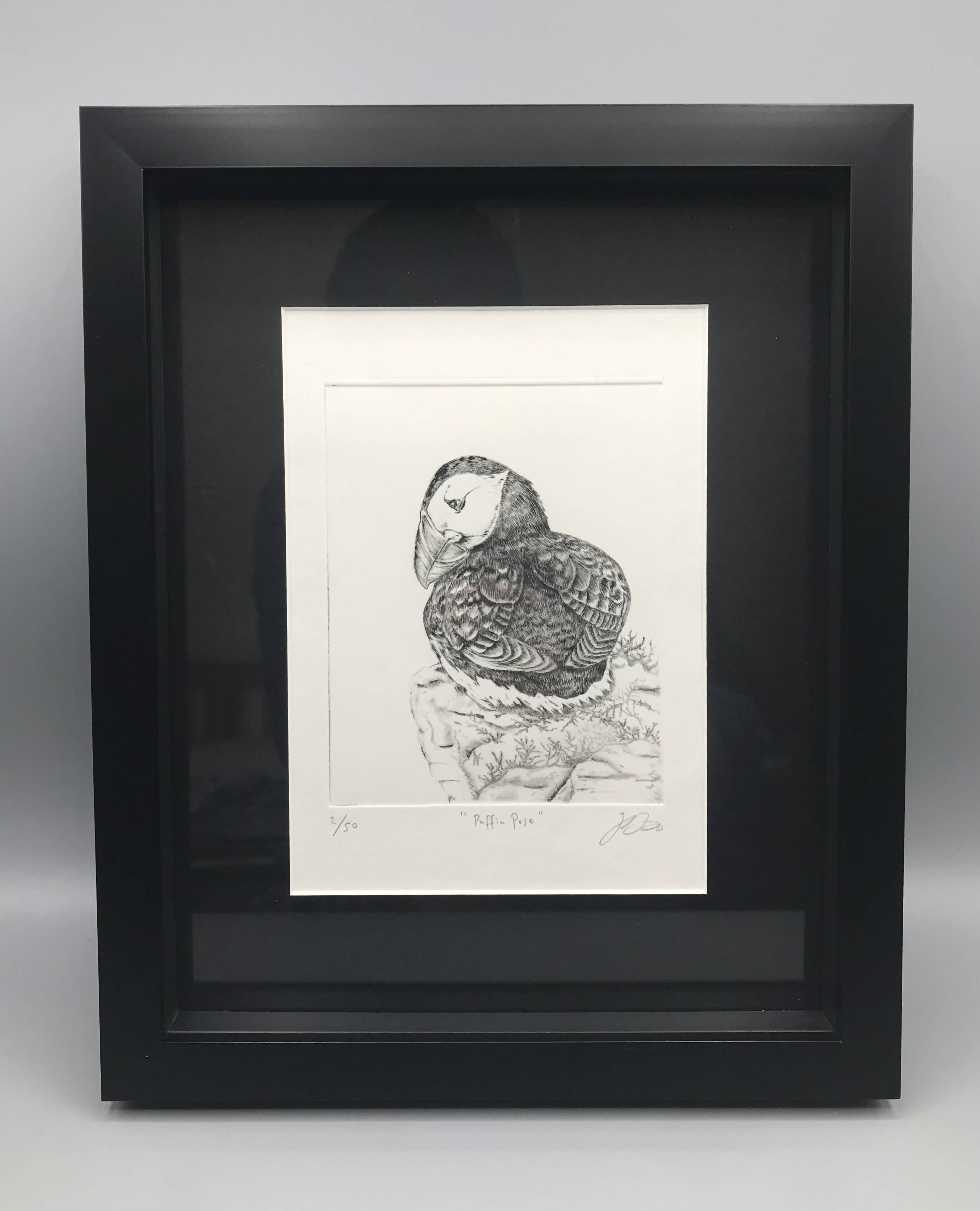 Puffin Pose 2/50 Framed Limited Edition Dry Point Etching by Jenny Davies