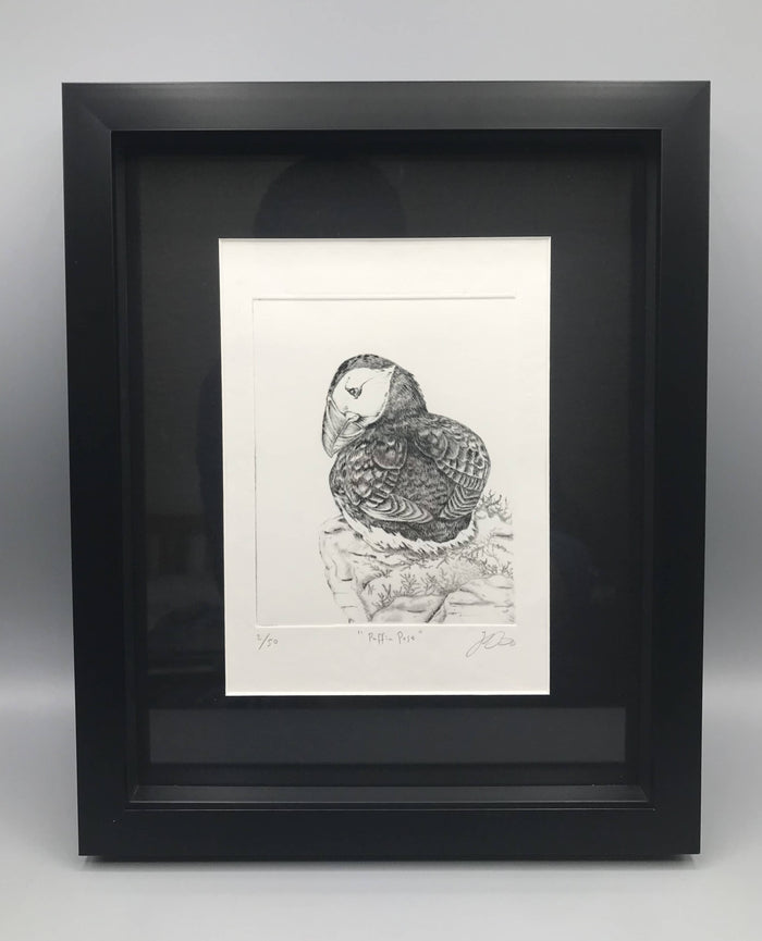 "Puffin Pose" 2/50 Framed Limited Edition Dry Point Etching by Jenny Davies