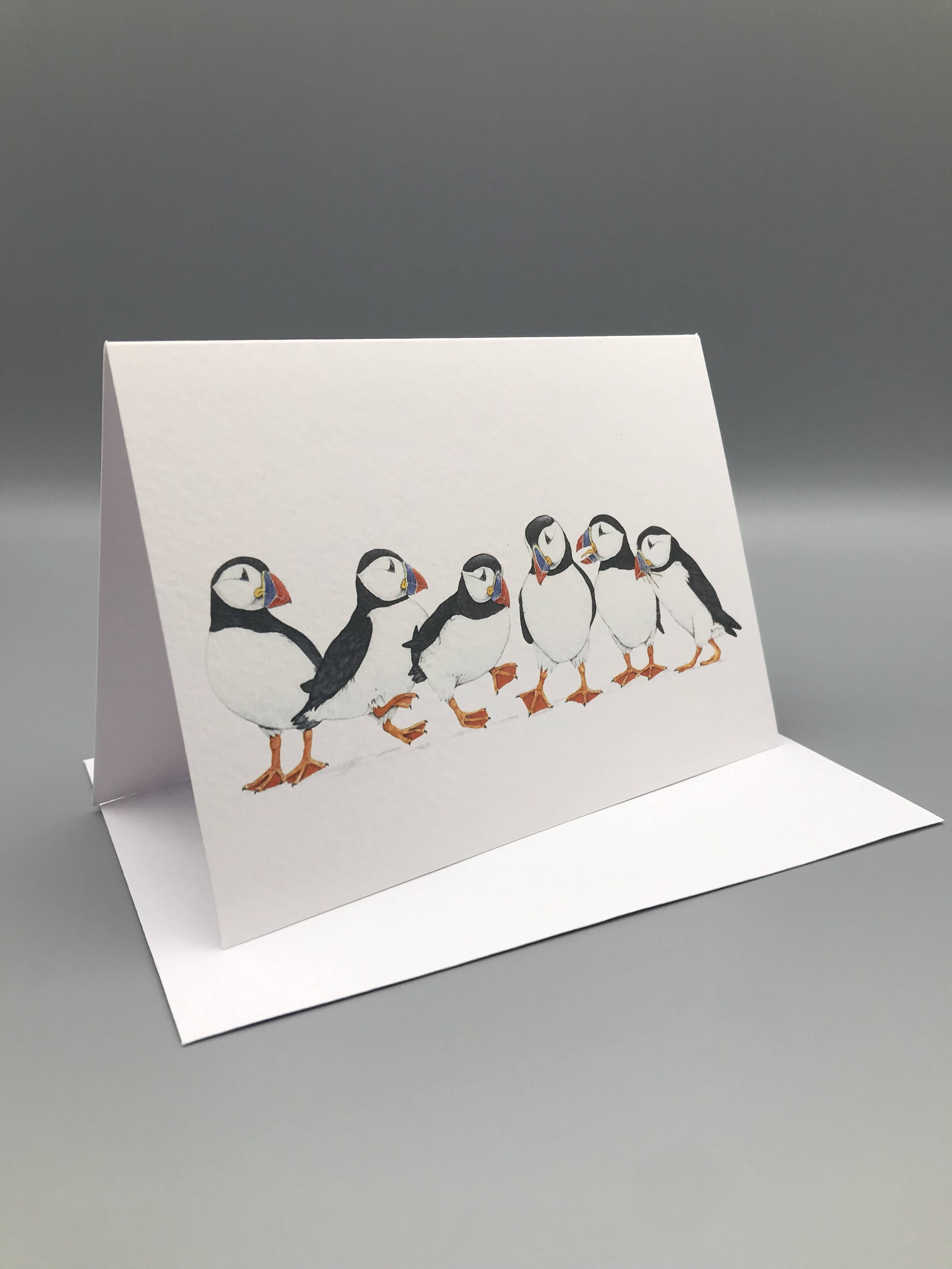 Jenny Wren Draws greetings Cards