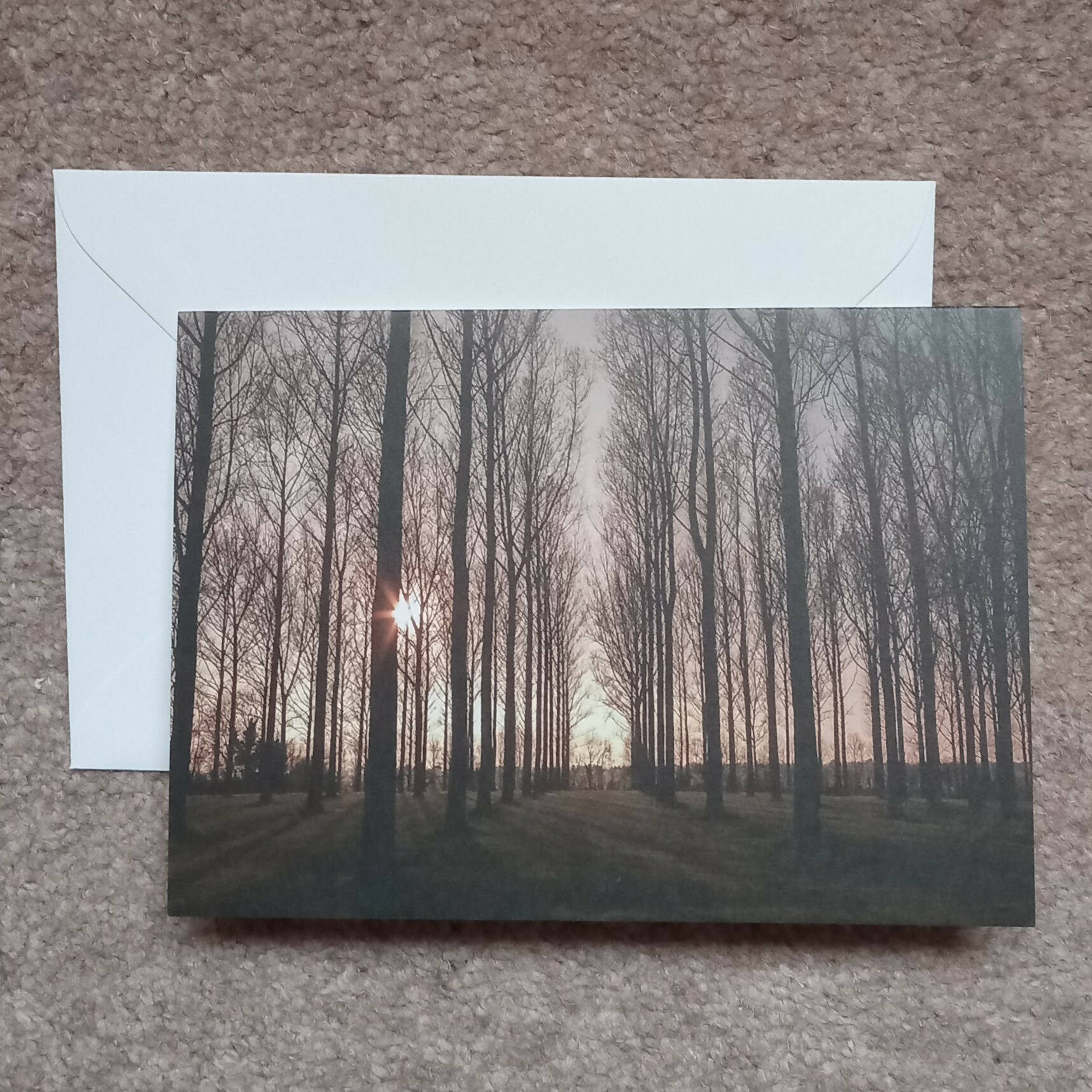 Sunny trees - card