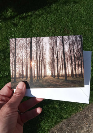 Sunny trees - card