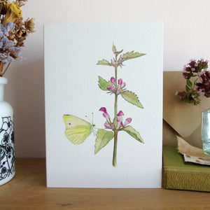 Red dead-nettle and butterfly card